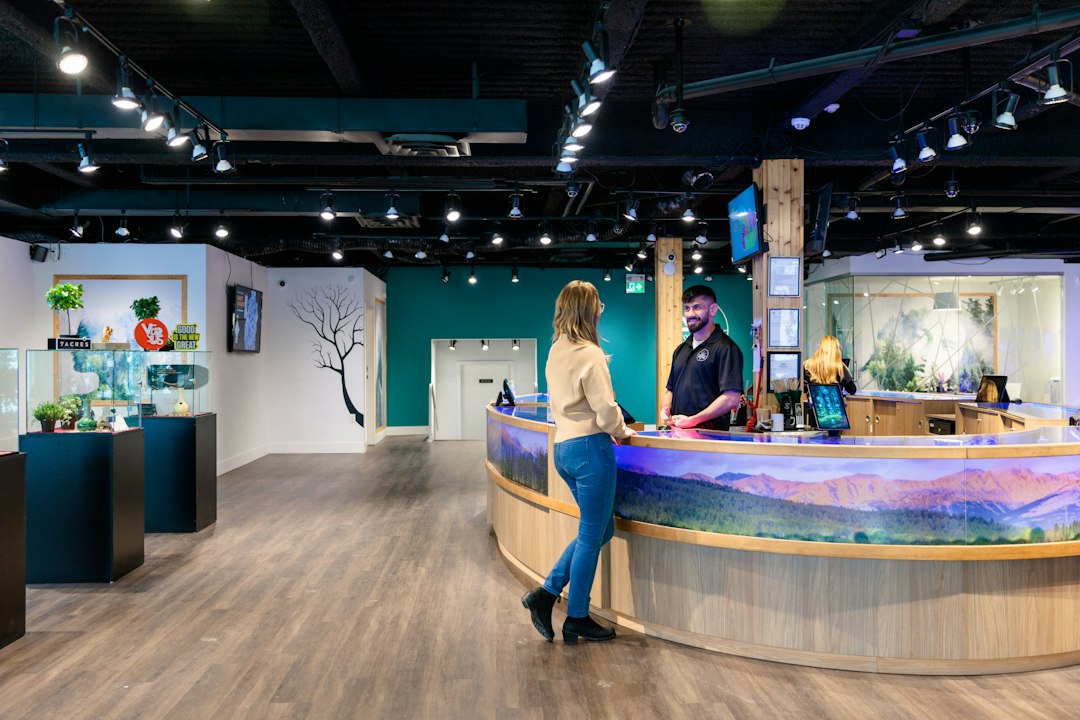 Visitor comparing gallery membership prices at a ticket desk