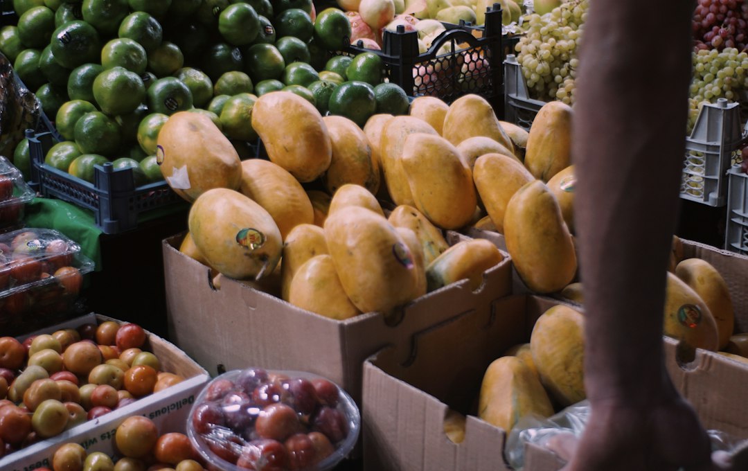 Market vendor arranging crates of ripe mango at Flemington markets