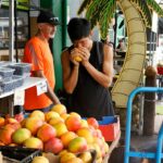 Shopper checking a ripe mango for softness at a Sydney market stall